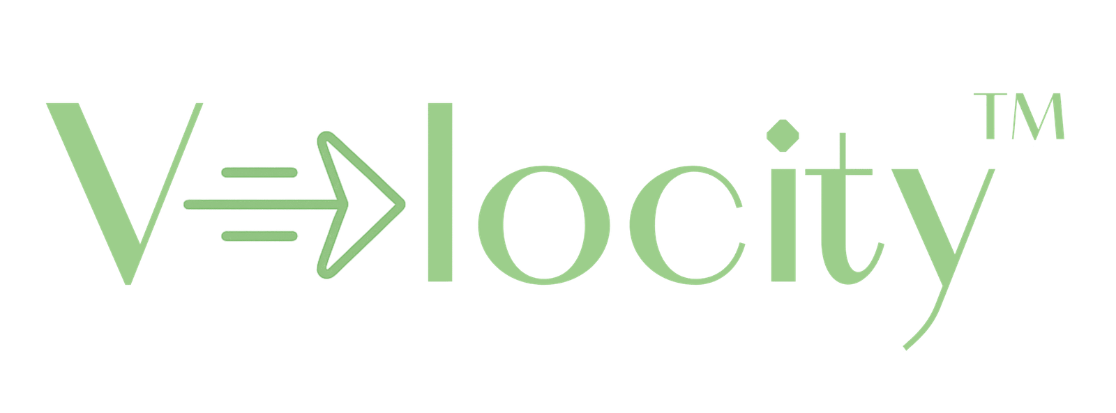Velocity Logo